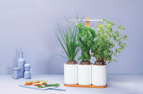 potager-interieur-lilo494.jpg