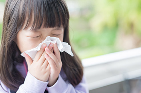 Les allergies peuvent vous pourrir la vie, même en intérieur. Pour les contrer, il faut se protéger !