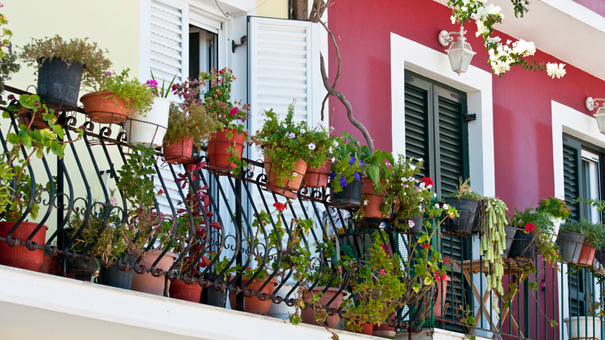 Un balcon orné de jardinières, de plantes et d'arbustes jouera un rôle de barrière végétale