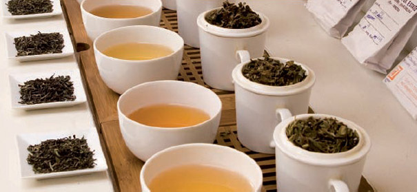 Dégustation de différentes variétés de thé